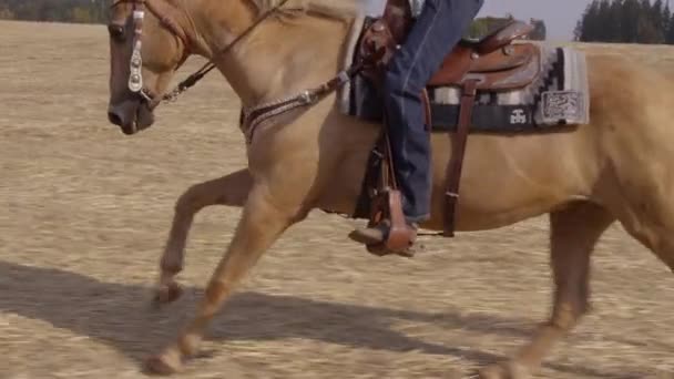 Woman Horseback Riding Slow Motion — Stock Video