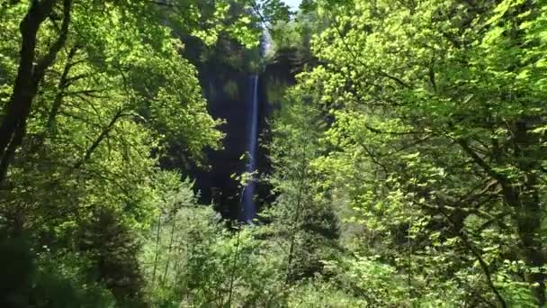 Wasserfall Der Columbia River Gorge Oregon — Stockvideo