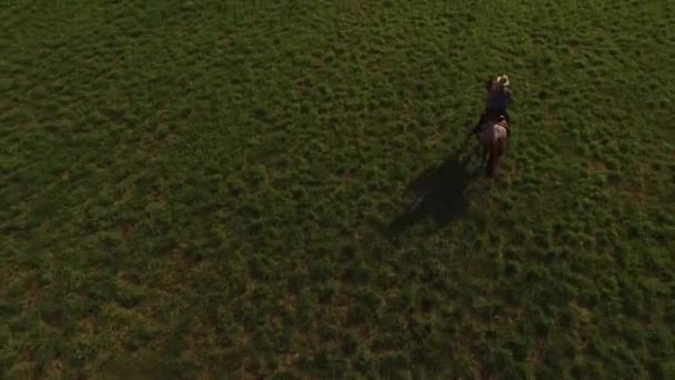 野馬に乗る女性の空中ビュー — ストック動画