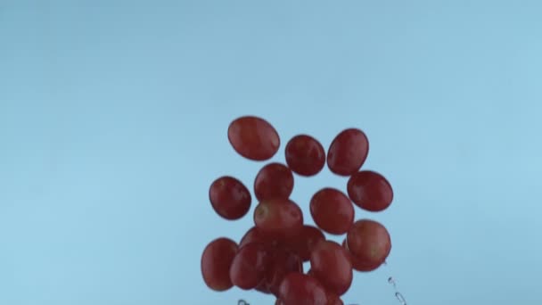 Druiven Vliegen Slow Motion Geschoten Met Phantom Flex Bij 1000 — Stockvideo