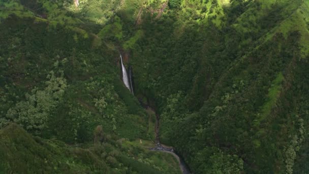 夏威夷考艾岛 大约2018年 曼纳沃普纳瀑布的空中景观也被称为侏罗纪瀑布 用Cineflex和Red Epic Helium拍摄 — 图库视频影像