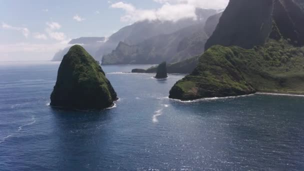ハワイのモロカイ2018年頃 モロカイ島沿岸の岩の空中ビュー CineflexとRed Epic Heliumで撮影 — ストック動画
