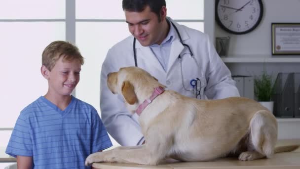 Veterinären Ger Pojkarnas Hund Kontroll — Stockvideo