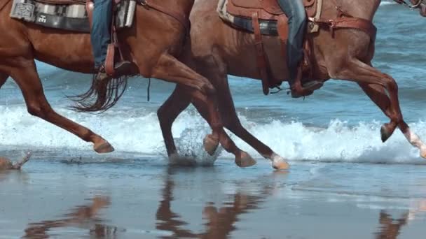 Super Zeitlupe Von Frauen Auf Pferden Strand Von Oregon Aufgenommen — Stockvideo