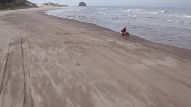 Luchtfoto Van Vrouwen Die Paardrijden Het Strand — Stockvideo
