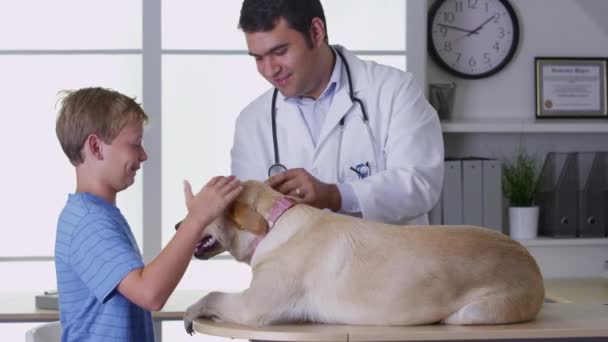 Veterinären Ger Pojkarnas Hund Kontroll — Stockvideo