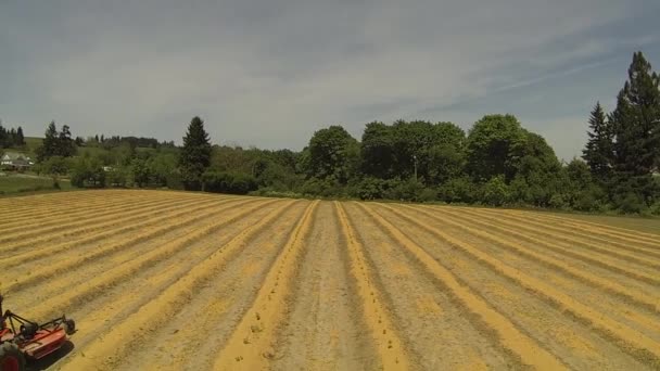 Antenn Skott Man Som Kör Traktor Gården — Stockvideo