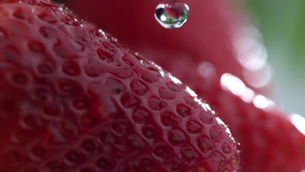 Extreme Close Water Drip Strawberry Slow Motion — Stock Video