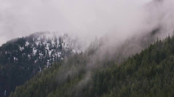 Alaska Circa 2018 Névoa Baixa Sobre Floresta Tiro Helicóptero Com — Vídeo de Stock