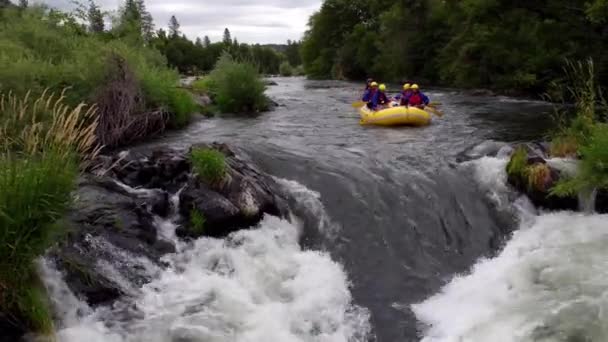 Aerial Shot People White Water Rafting Rouge River Oregon — Stock Video