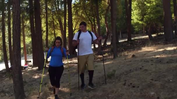 Paar Wandelingen Buiten Oregon Verenigde Staten — Stockvideo