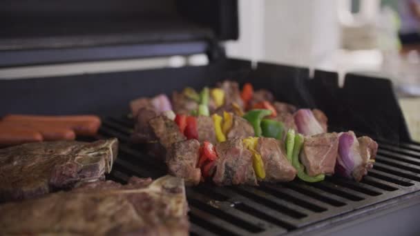 Primer Plano Filetes Pinchos Parrilla Barbacoa Patio Trasero — Vídeos de Stock