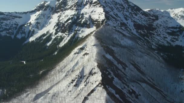 雪に覆われた高地の風景の空撮 イエローストーンパーク アメリカ — ストック動画