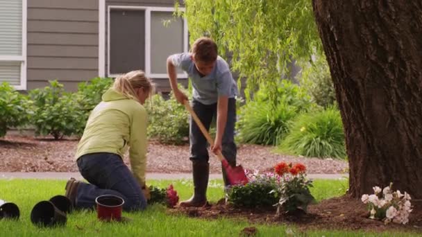 Mother Son Planting Flowers Yard Shot Red Epic — Stock Video