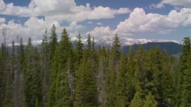 Yellowstone Ulusal Parkı, Wyoming. Yellowstone Ulusal Parkı 'nın havadan görünüşü. Helikopterden Shotover gimbal ve RED 8K kamera ile çekildi..