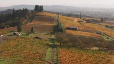 Oregon 'un Willamette Vadisi Şarap Ülkesi' nin hava görüntüsü. Cineflex ve RED Epic-W Helyum ile çekilmiştir..