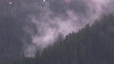 Anchorage, Alaska - 2018 dolaylarında Anchorage, Alaska yakınlarındaki orman ve sis manzarası. Helikopterden Cineflex gimbal ve RED Epic-W kamerasıyla çekildi..