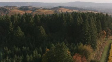 Oregon 'un Willamette Vadisi Şarap Ülkesi' nin hava görüntüsü. Cineflex ve RED Epic-W Helyum ile çekilmiştir..