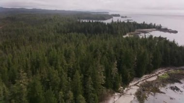 İngiliz Kolombiyası 2018 dolaylarında. İngiliz Kolombiya kıyıları boyunca körfez ve adaların üzerinden uçuyorlar. Helikopterden Cineflex gimbal ve RED Epic-W kamerasıyla çekildi..