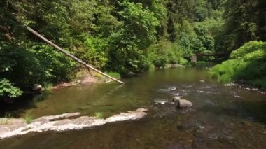 Oregon, ABD 'de köprüsü olan bir derenin üzerinden uçuyor.
