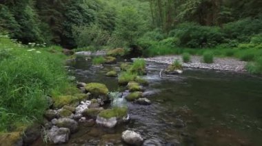 Oregon, ABD 'de bir derede uçuyor.