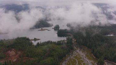 Alaska - yaklaşık 2018: Alaska kıyısı boyunca orman arazisi üzerinde uçmak. Helikopterden Cineflex gimbal ve RED Epic-W kamerasıyla çekildi..