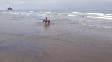 Kumsalda ata binen kadınların hava manzarası.