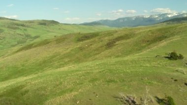 Yellowstone Ulusal Parkı, Wyoming. Yellowstone Ulusal Parkı 'nın havadan görünüşü. Helikopterden Shotover gimbal ve RED 8K kamera ile çekildi..