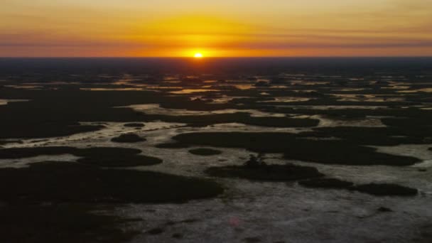 Widok Lotu Ptaka Nad Everglades Floryda — Wideo stockowe