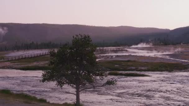 River Flowing Yellowstone National Park Steam Distance — Stock Video