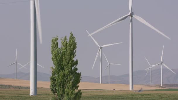 Energieproducerende Windturbines Het Platteland Wyoming — Stockvideo