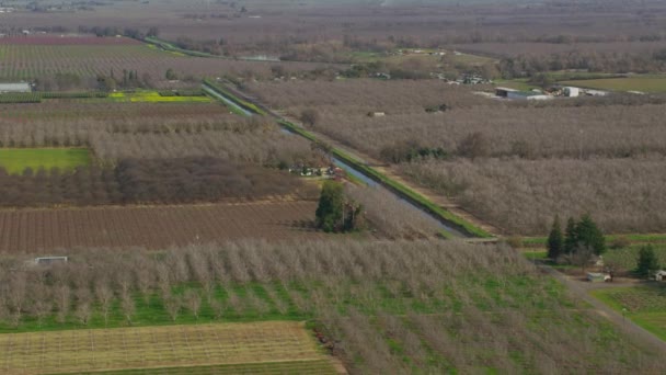 Vista Aérea Los Campos Agrícolas Norte California — Vídeo de stock