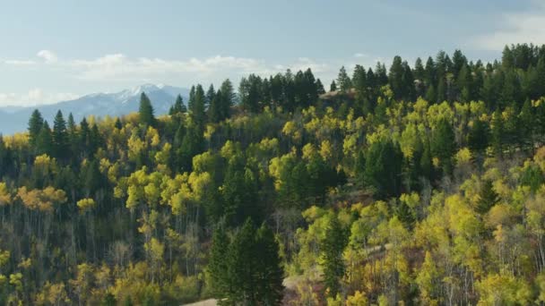 Montana Hermosa Escena Montañosa Imágenes Aéreas — Vídeos de Stock