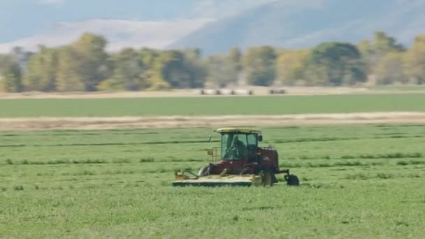 Traktor Orający Pole Montanie Usa — Wideo stockowe