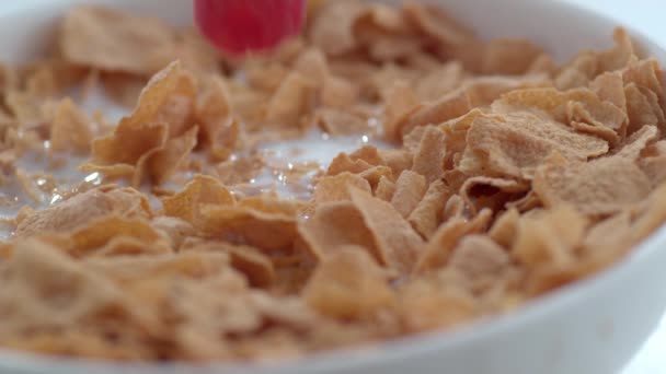Primer Plano Frambuesas Salpicando Tazón Cereal Cámara Lenta — Vídeo de stock