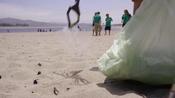 清理海滩的志愿者小组 — 图库视频影像