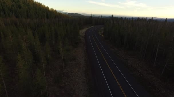Letecký Pohled Dálnici Les Oregonu — Stock video