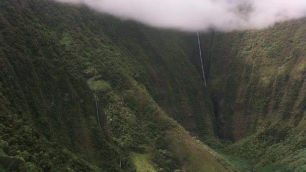 Молокай Гавайи Около 2018 Года Вид Воздуха Водопад Puapua Молокай — стоковое видео
