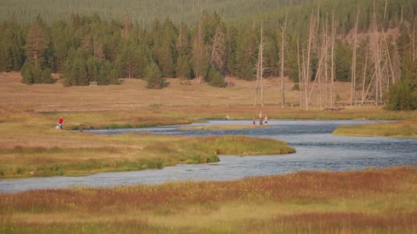 Yellowstone National Park Cirka 2018 Fiske Älven — Stockvideo