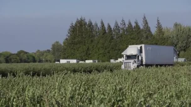 半自动卡车在乡间路上行驶 已全部释放出来供商业用途 — 图库视频影像