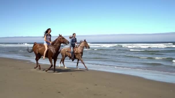 Women Riding Horses Beach — Stock Video