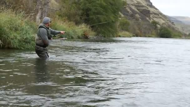 Hombre Tambaleándose Peces Grandes — Vídeo de stock