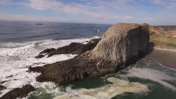 Vue Aérienne Côte Oregon Seal Rock — Video