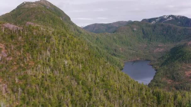 Brits Columbia Circa 2018 Luchtfoto Van Bos Meren Opgenomen Vanuit — Stockvideo