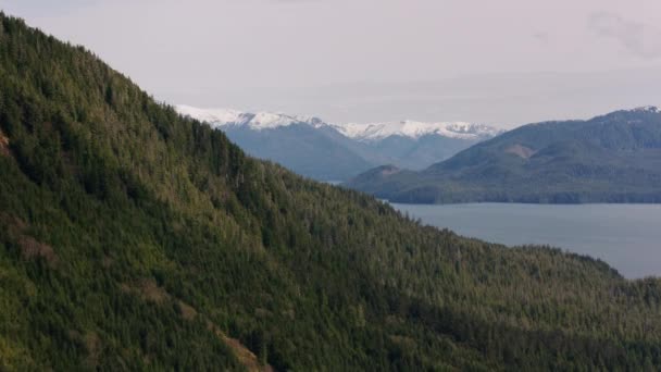 British Columbia Circa 2018 Flying Inlets Lakes British Columbia Coast — Stock Video