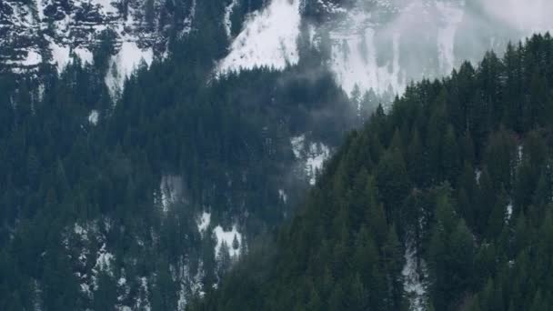 Letecký Pohled Mlhu Stromy Zimě Columbia River Gorge Oregon — Stock video
