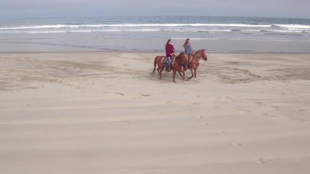 Luftaufnahme Von Frauen Auf Pferden Strand — Stockvideo
