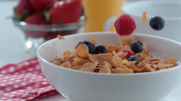 Arándanos Frambuesas Que Caen Los Cereales Cámara Lenta — Vídeos de Stock