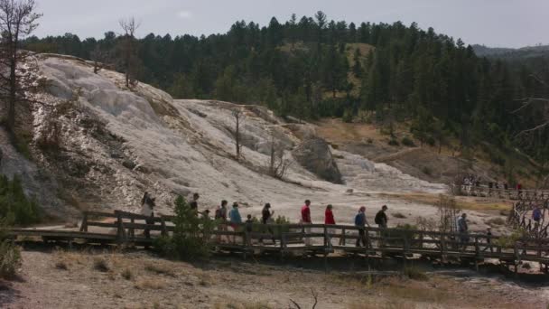 Yellowstone National Park Circa 2018 People Walking Trails Mammoth Hot — Stock Video