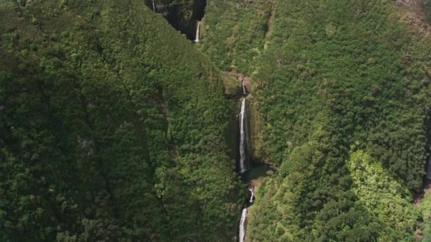 ハワイのモロカイ2018年頃 モロカイ島のH Puapua滝の空中ビュー CineflexとRed Epic Heliumで撮影 — ストック動画